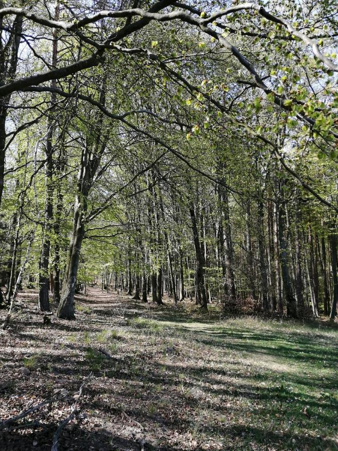 Penzion Uhliska A Depandance Gazdovsky Dom Nemšová Kültér fotó